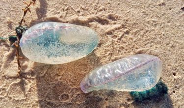 FB_IMG_1704657971796